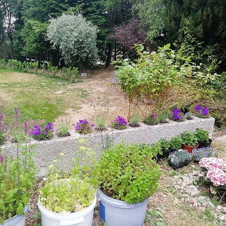 מלון פורס Robinhill Garden מראה חיצוני תמונה