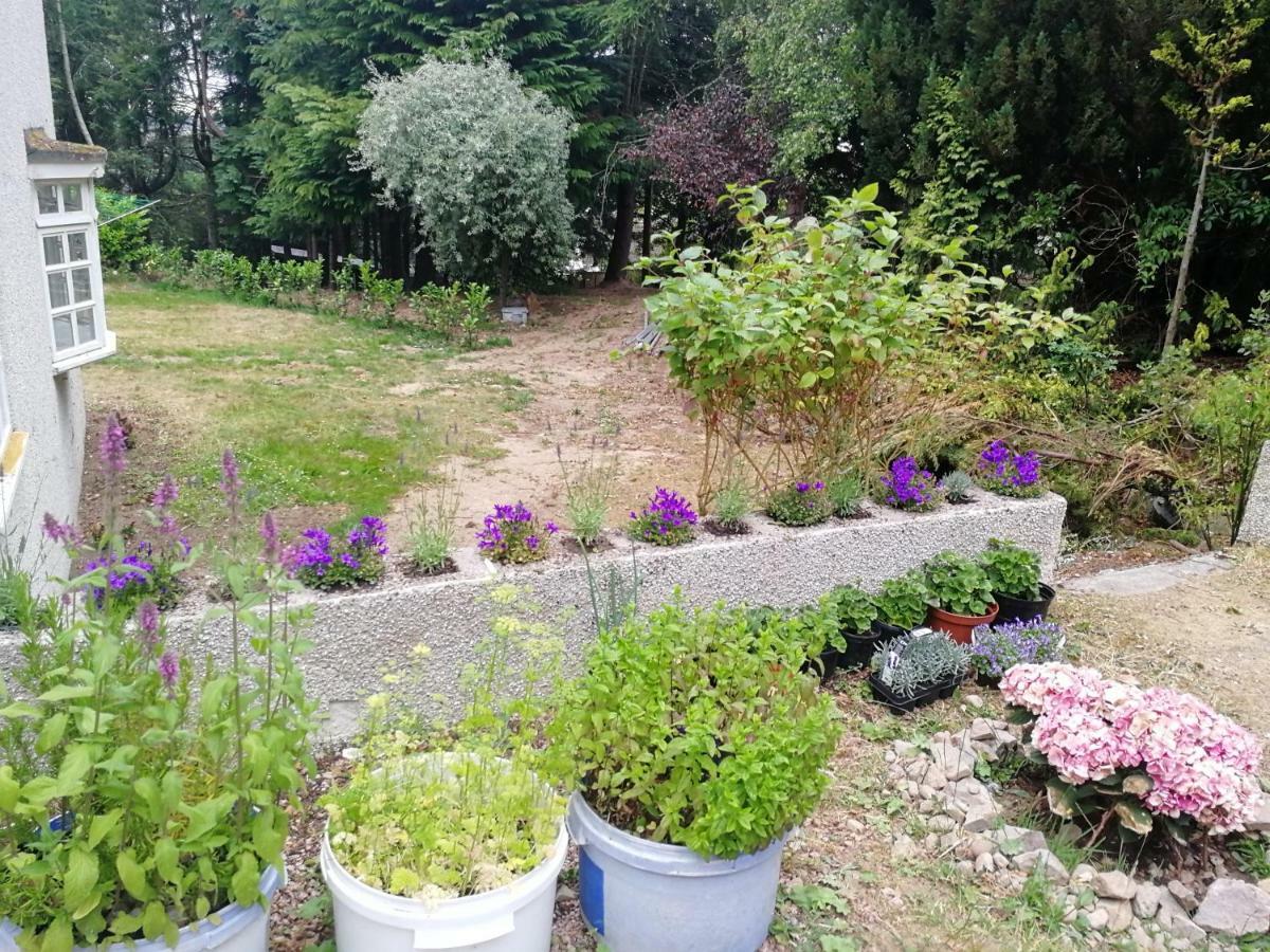 מלון פורס Robinhill Garden מראה חיצוני תמונה